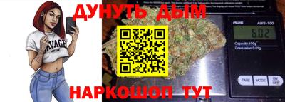 скорость Новодвинск