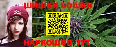 шишки Новозыбков