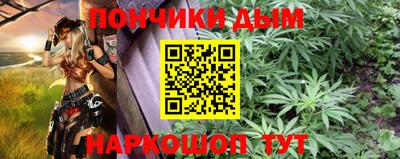 шишки Новозыбков