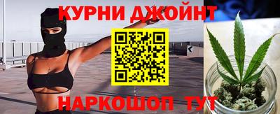 шишки Новозыбков