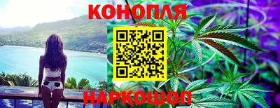 соль ск Новокубанск