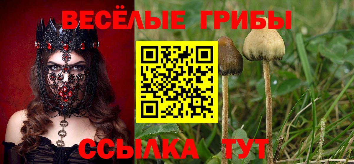 Санкт-Петербург  где найти   Вход с VPN  Псилоцибиновые грибы MAGIC MUSHROOMS 